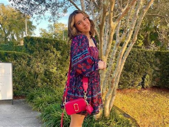 Lisi Danni Net Worth