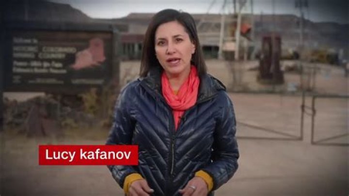 Lucy Kafanov Husband, Wiki, Age: 10 Facts On CNN Reporter