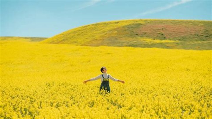 Luis Armand Garcia Net Worth