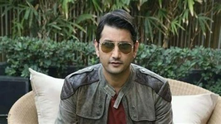 Marzi Pestonji Height, Weight, Net Worth, Age, Birthday, Wikipedia, Who, Instagram, Biography