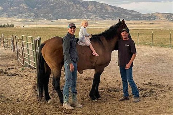 
Mongo: Horse Returns Home After Going Missing For 8 Years 