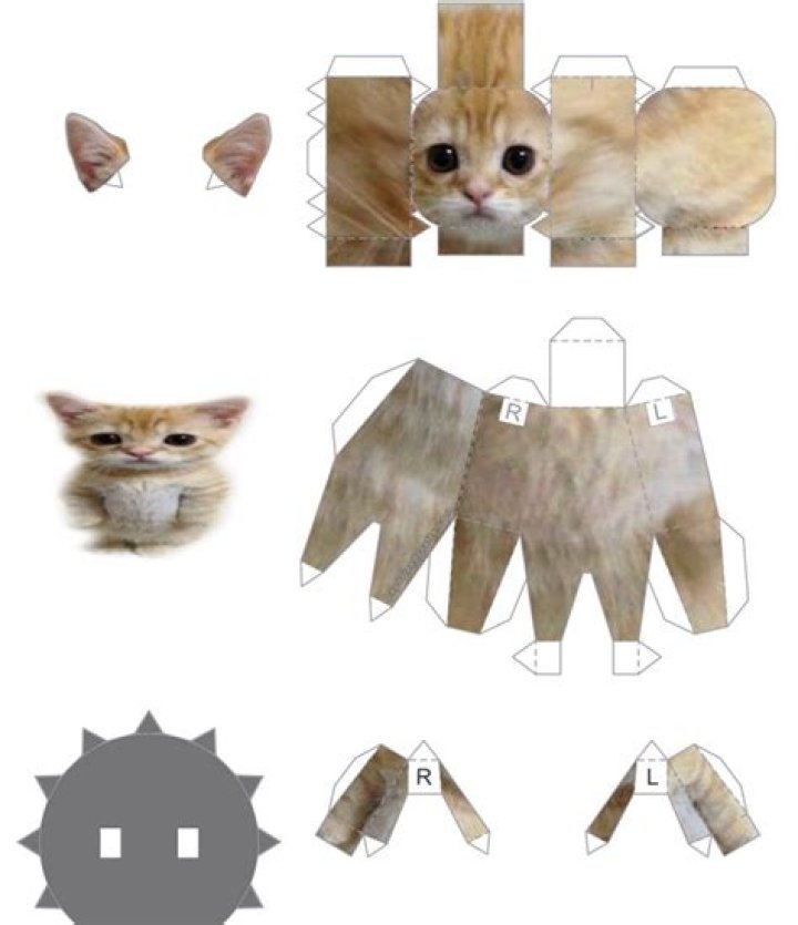Munchkin Kitty Papercraft On Tiktok, El Gato Cat Template Is Viral On Multiple Social Media Platforms