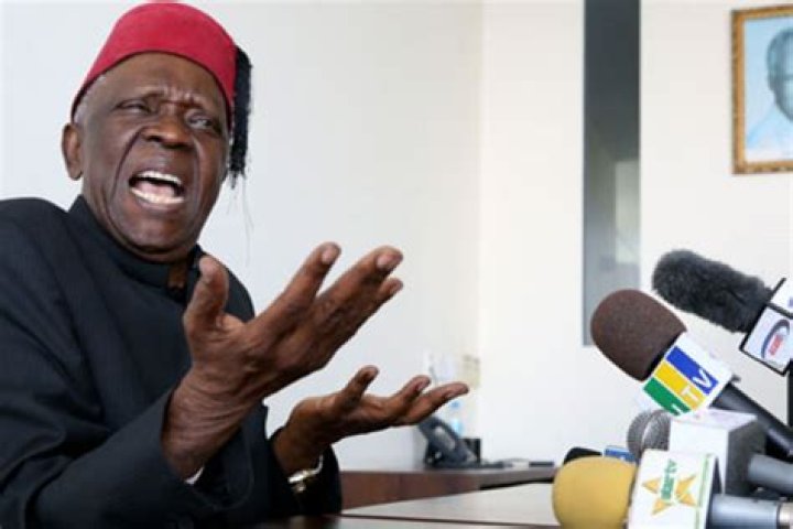 Nimrod Elireheemah Mkono’s biography, net worth, fact, career, awards and life story