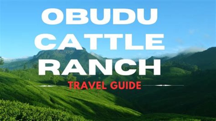 Obudu Cattle Ranch And Mountain Resort – Here’s All You Need To Know