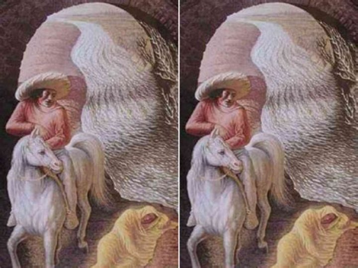 Optical Illusion Archives - SarkariResultSarkariResult