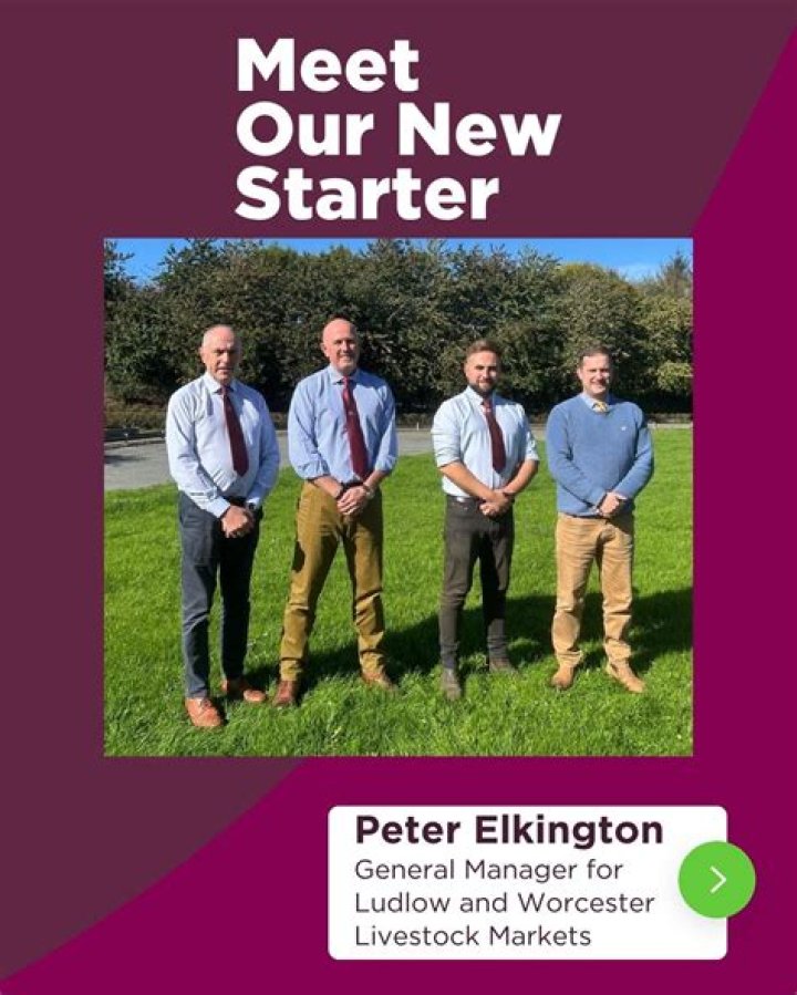 Peter J. Elkington Net Worth