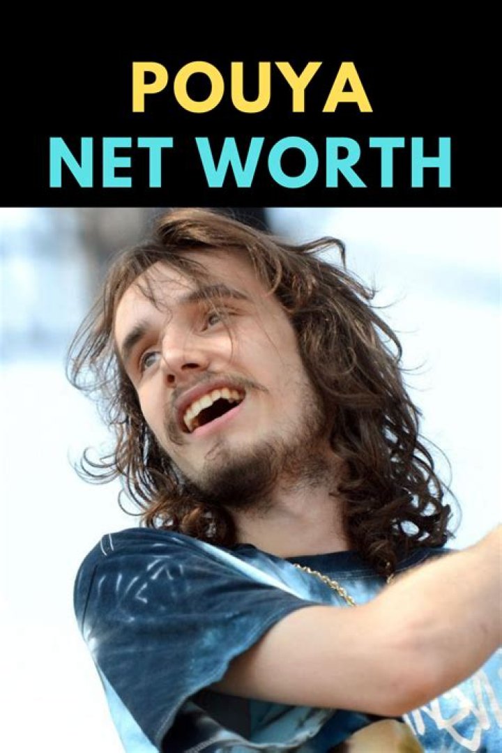 Pouya Shahbazian Net Worth