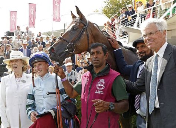 
Quickthorn Owner Lady Blyth Enjoys A Day At The Race As She Comes Out In Funky Shoes 