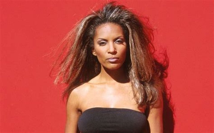 Renee Tenison Net Worth