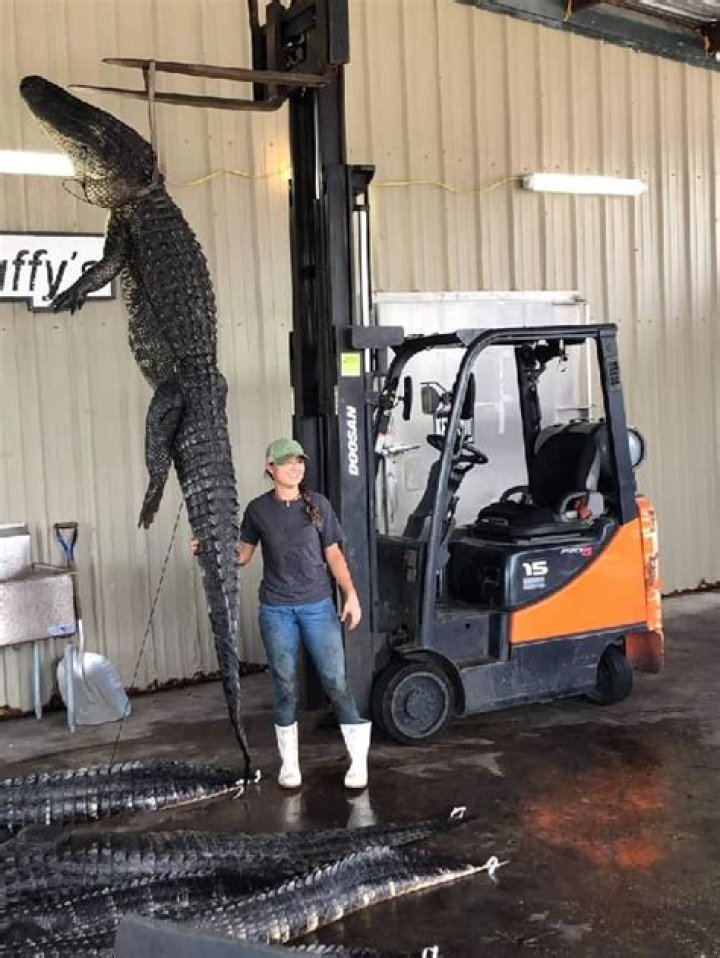 
Repullze Height, Weight, Net Worth, Age, Birthday, Wikipedia, Who, Instagram, Biography 