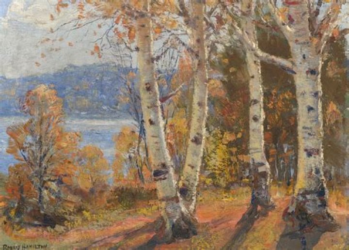 Robert Hamilton (archaeologist)