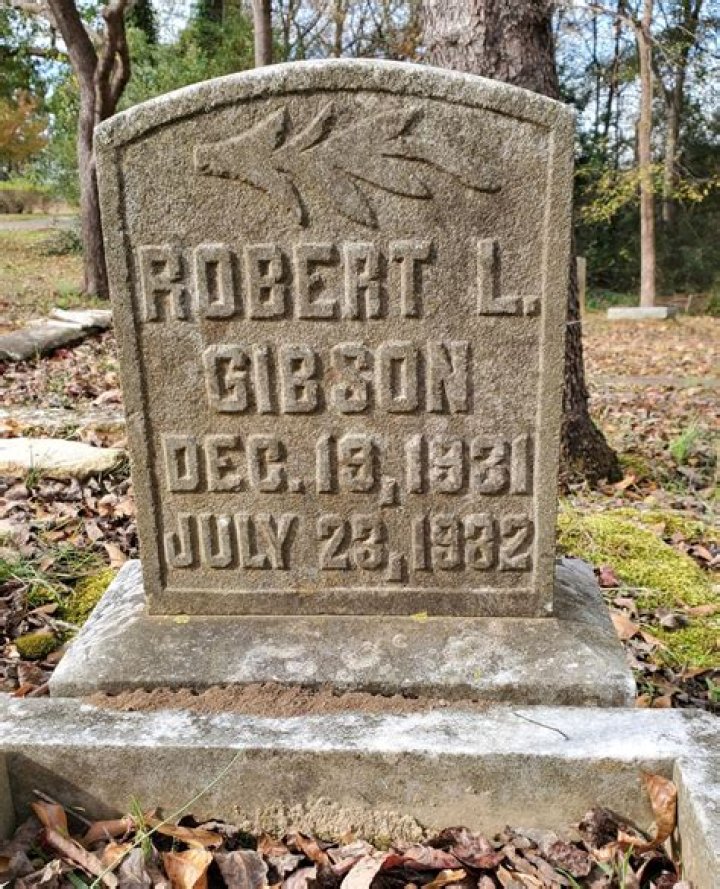 Robert L. Gibson Net Worth