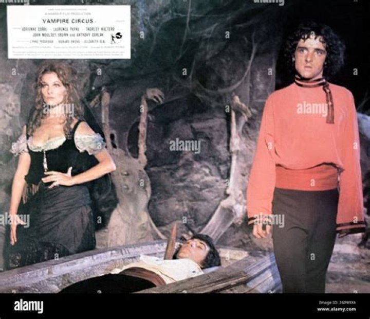 Robert Tayman Net Worth