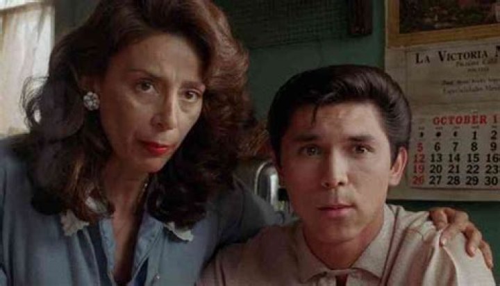 Rosanna DeSoto Has a Staggering Net Worth; How did She Earn it?