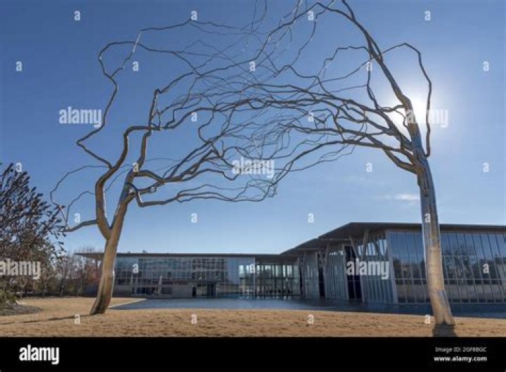 Roxy Paine Net Worth