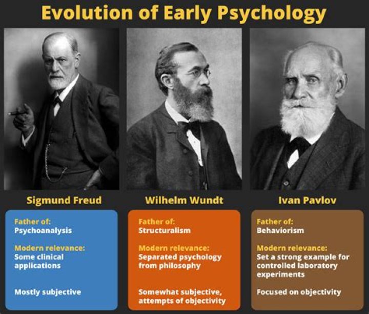 
Sam Kroonenburg Age, Birthday, Wikipedia, Who, Nationality, Biography 