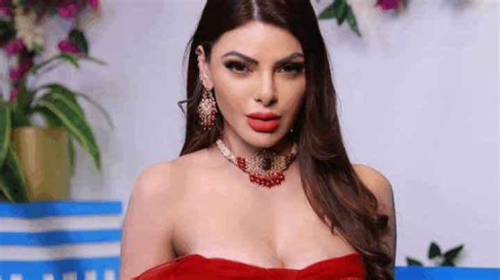 Sherlyn Chopra Biography, Family, Movies, Career And Net Worth.