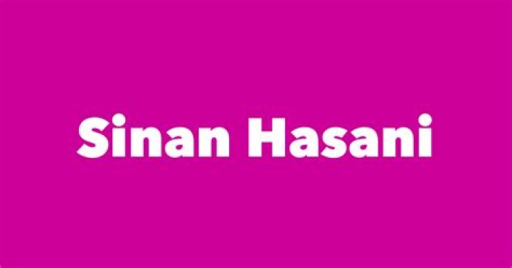 Sinan Hasani Net Worth