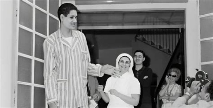 Suleiman Ali Nashnush Net Worth