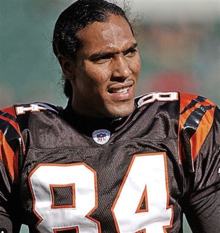T.J. Houshmandzadeh Net Worth
