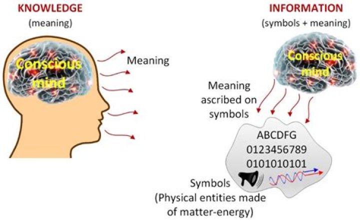 Tim Pool Swatting Meaning – Urban Dictionary and Definition, Tweet Explained
