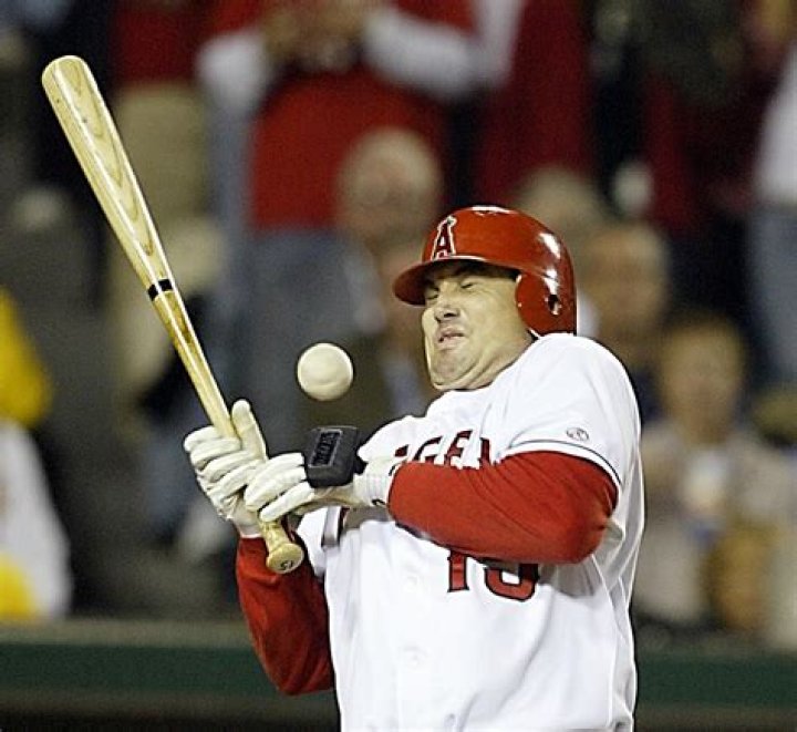 Tim Salmon Net Worth