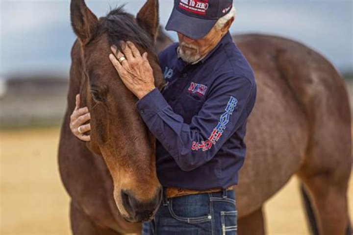 
Veterans Open Up About the Power of Horses in the Fight Against PTSD: ‘A Whole Other Level of Healing’ 