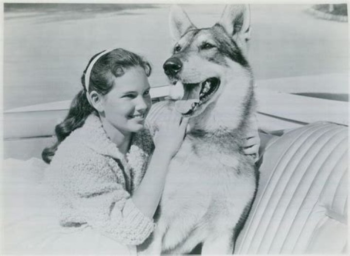 Wendy Stuart Net Worth