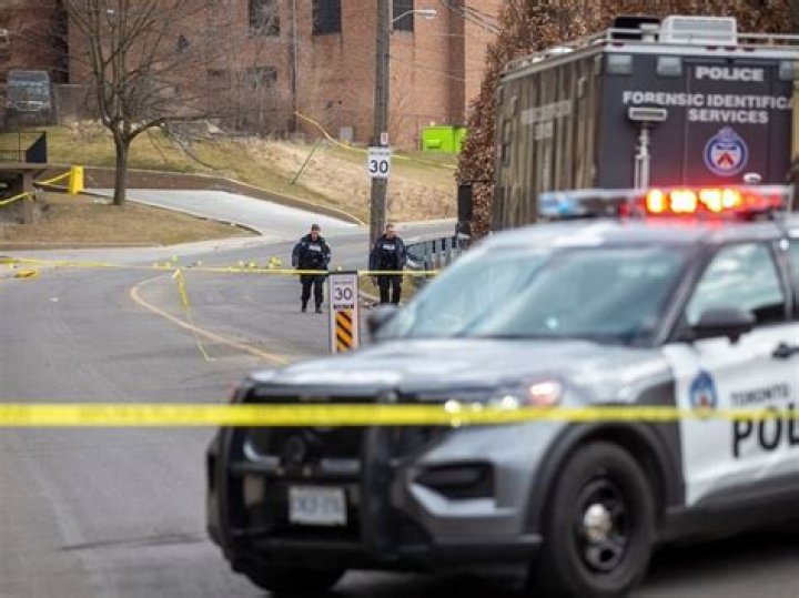 
What Happened To Tasha Kheiriddin? Accident News Trending – Is She Hurt? 