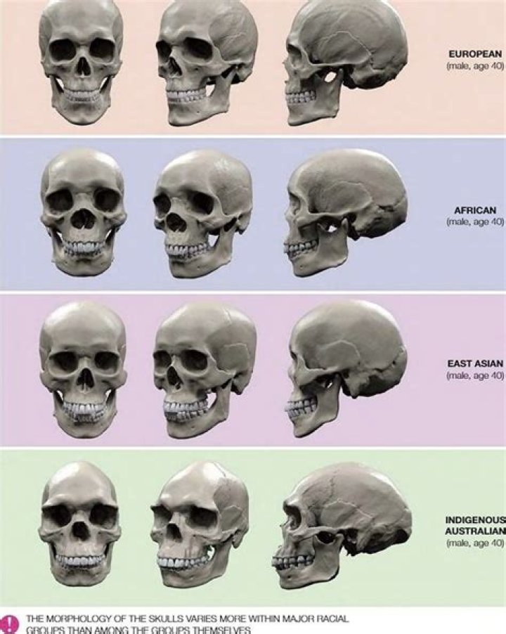 Who is Brien Foerster? Brien Foerster Wikipedia, Age, Elongated Skulls, Nationality, Family, Wife