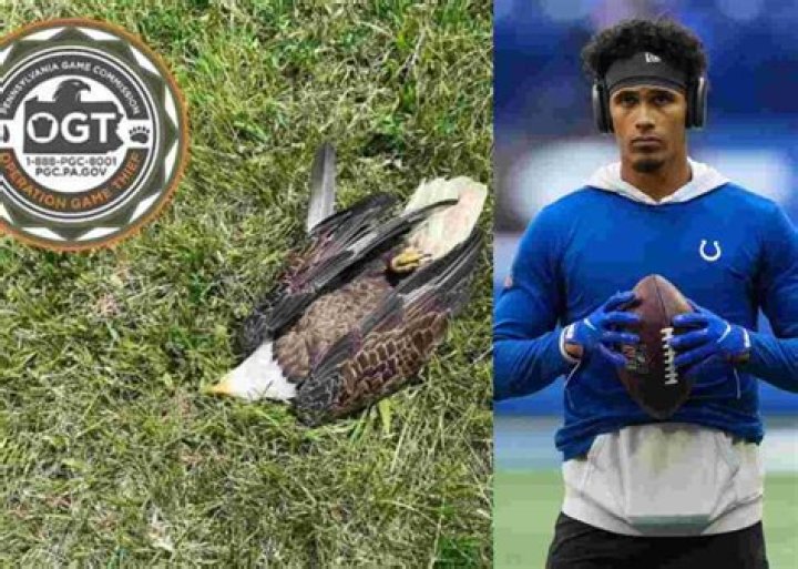 
Who is Rodney Thomas? Father of Indianapolis Colts safety Rodney Thomas II arrested for killing bald eagle 
