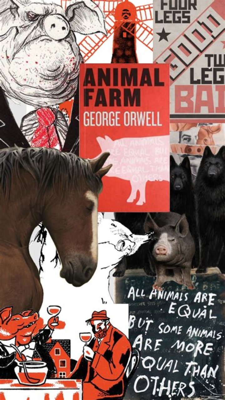 Why are the humans desperate for animal farm to fail
